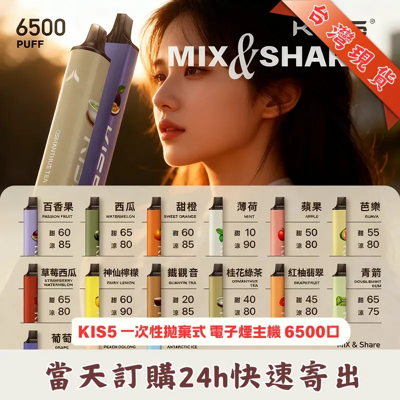 凱斯 KIS5 6500口磁吸式拋棄式電子煙|自由拼接雙口味 17款現貨